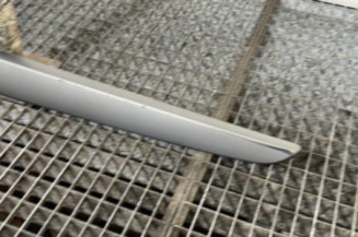 Baguette de porte arriere gauche  RENAULT SCENIC 2