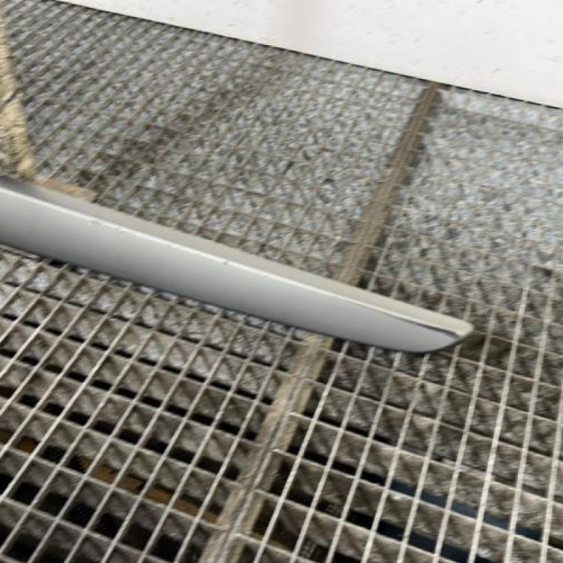 Baguette de porte arriere gauche  RENAULT SCENIC 2 Photo n°3