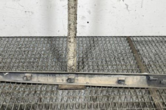 Baguette de porte arriere gauche  RENAULT SCENIC 2