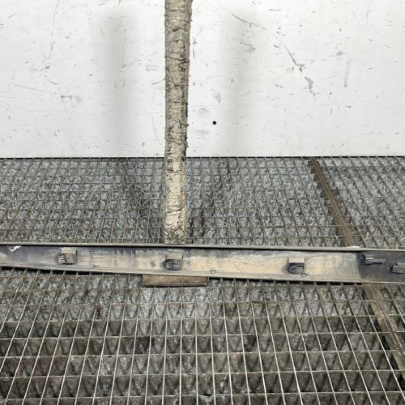 Baguette de porte arriere gauche  RENAULT SCENIC 2 Photo n°4