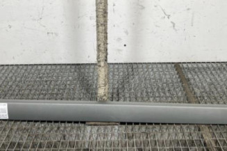 Baguette de porte avant droite RENAULT SCENIC 2