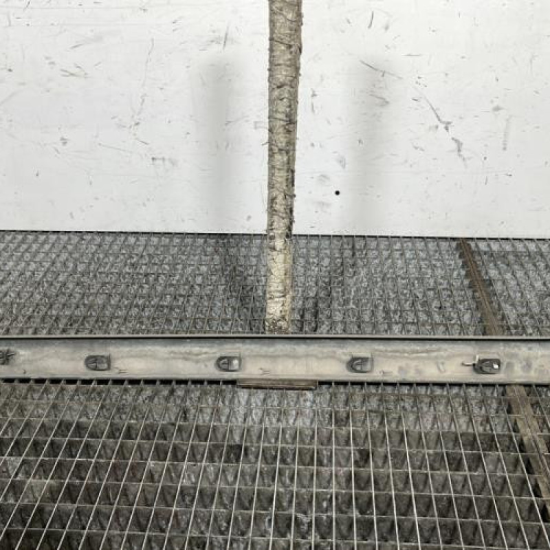 Baguette de porte avant droite RENAULT SCENIC 2 Photo n°4