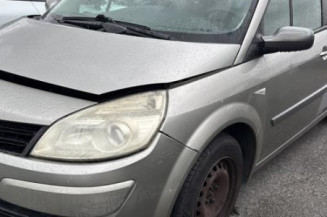 Baguette de porte avant droite RENAULT SCENIC 2