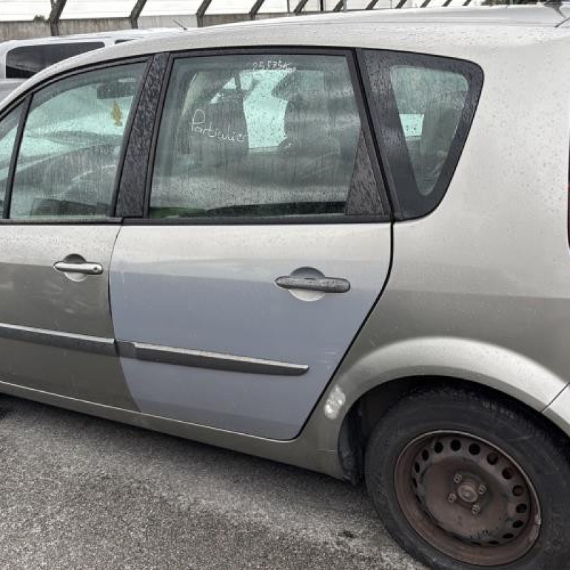 Baguette de porte avant droite RENAULT SCENIC 2 Photo n°10