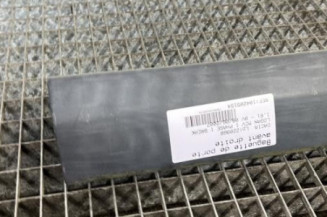 Baguette de porte avant droite DACIA LOGAN MCV 1