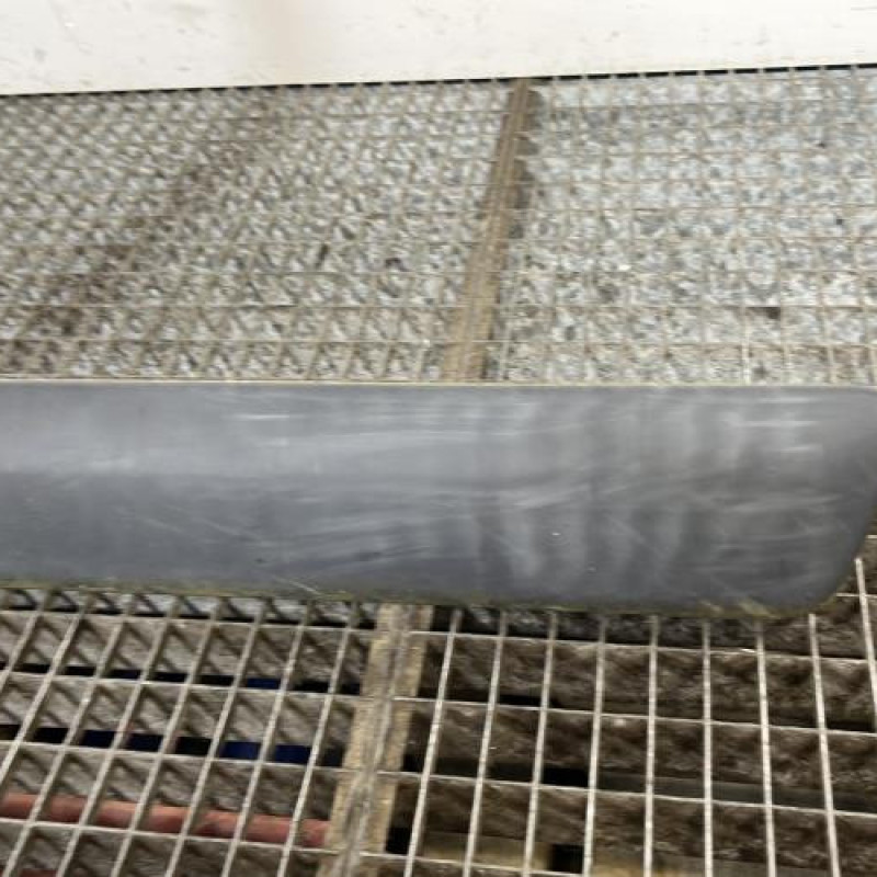 Baguette de porte avant droite DACIA LOGAN MCV 1 Photo n°3