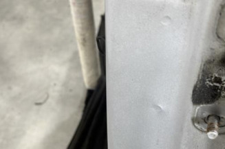 Porte arriere gauche DACIA DUSTER 1