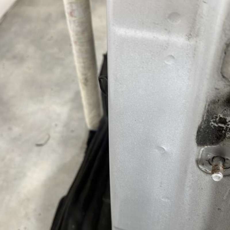 Porte arriere gauche DACIA DUSTER 1 Photo n°3