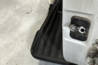 Porte arriere gauche DACIA DUSTER 1