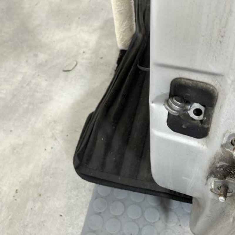 Porte arriere gauche DACIA DUSTER 1 Photo n°4