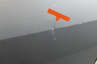 Porte avant droit RENAULT LAGUNA 3