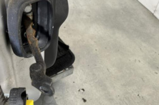 Porte avant droit RENAULT LAGUNA 3