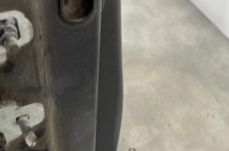 Porte avant droit RENAULT CLIO 3