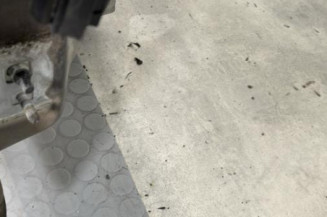 Porte avant droit RENAULT CLIO 3