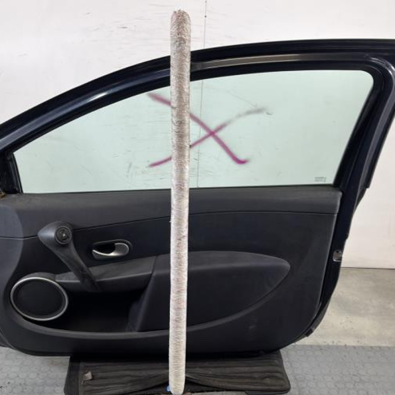 Porte avant droit RENAULT CLIO 3 Photo n°7