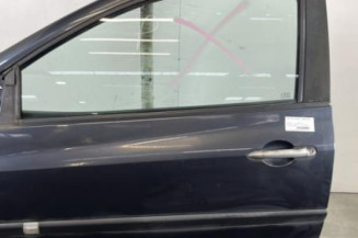 Porte avant gauche RENAULT CLIO 3 Photo n°1