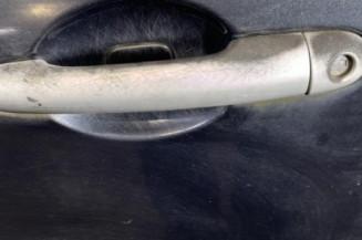 Porte avant gauche RENAULT CLIO 3