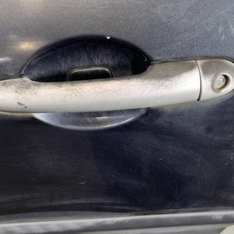 Porte avant gauche RENAULT CLIO 3 Photo n°2