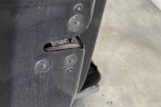 Porte avant gauche RENAULT CLIO 3