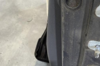 Porte avant gauche RENAULT CLIO 3