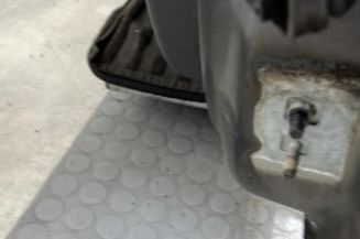 Porte avant gauche RENAULT CLIO 3