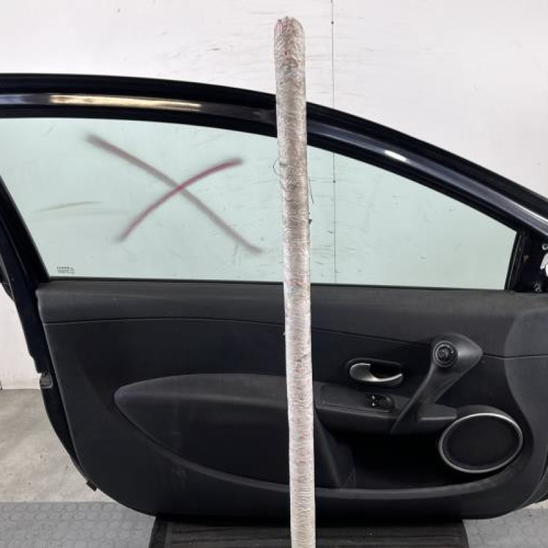 Porte avant gauche RENAULT CLIO 3 Photo n°6