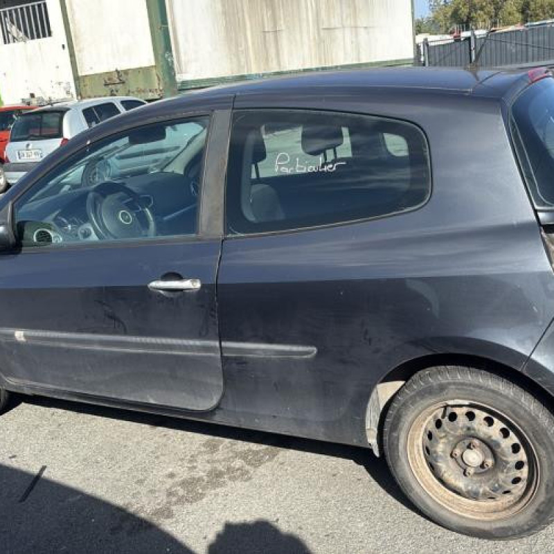Porte avant gauche RENAULT CLIO 3 Photo n°12