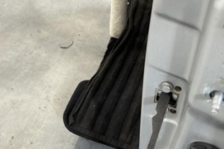 Porte avant gauche RENAULT TWINGO 2