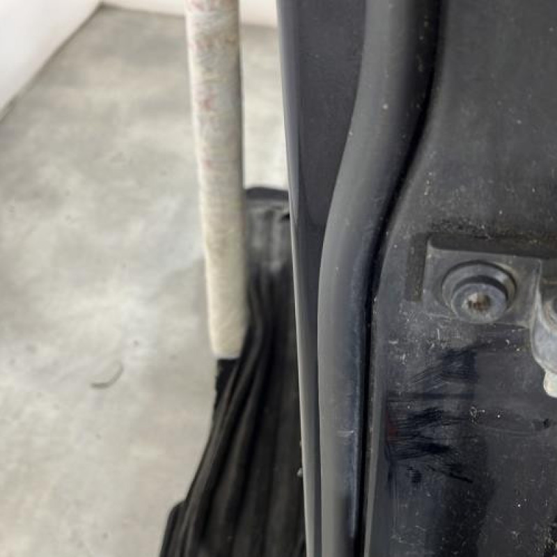 Porte avant gauche VOLKSWAGEN TOURAN 1 Photo n°4