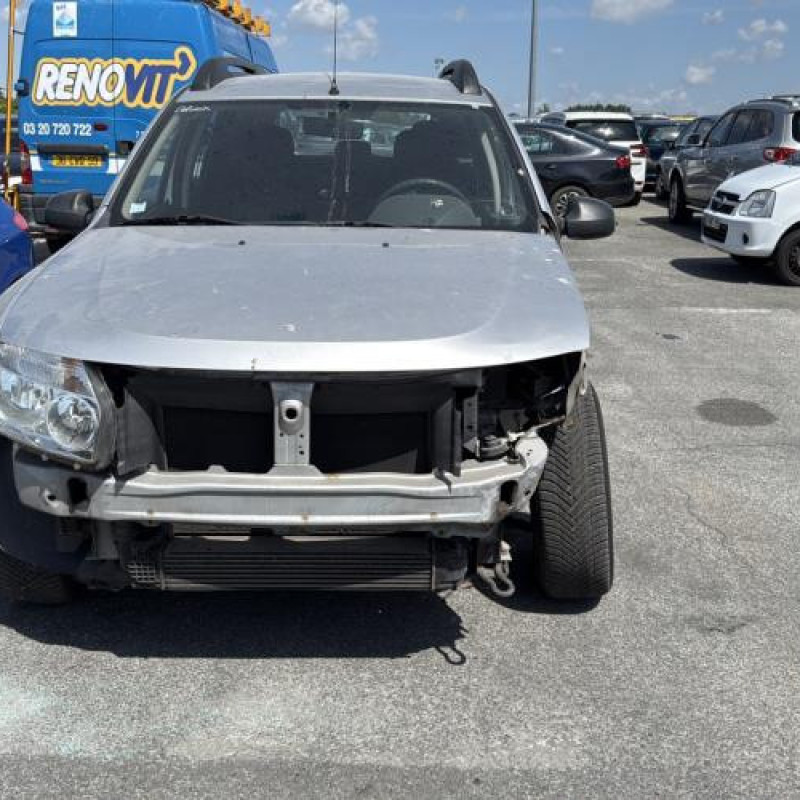 Porte avant droit DACIA DUSTER 1 Photo n°13