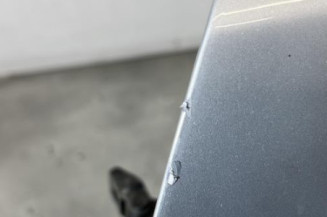 Porte avant gauche BMW SERIE 3 E46