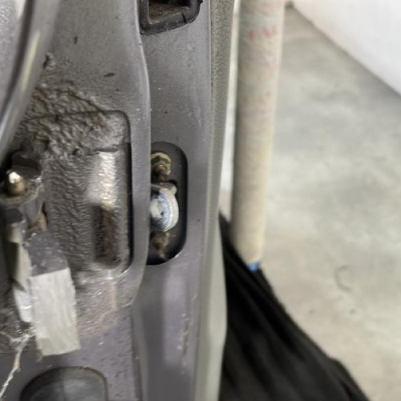 Porte avant droit RENAULT CLIO 2 Photo n°5