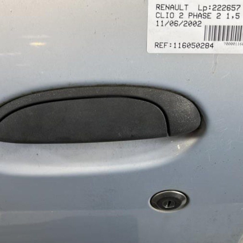 Porte avant gauche RENAULT CLIO 2 Photo n°2