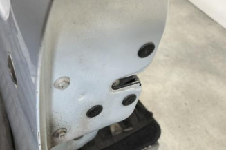 Porte avant gauche RENAULT CLIO 2