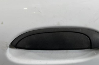 Porte avant gauche RENAULT CLIO 2