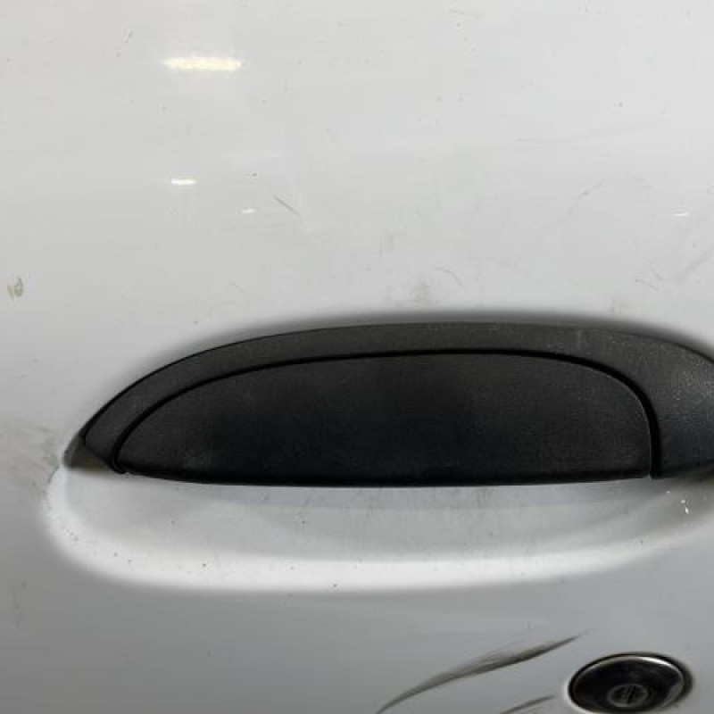 Porte avant gauche RENAULT CLIO 2 Photo n°2