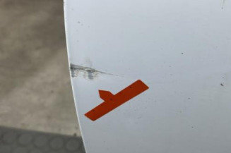 Porte avant gauche RENAULT CLIO 2