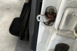 Porte avant gauche RENAULT CLIO 2