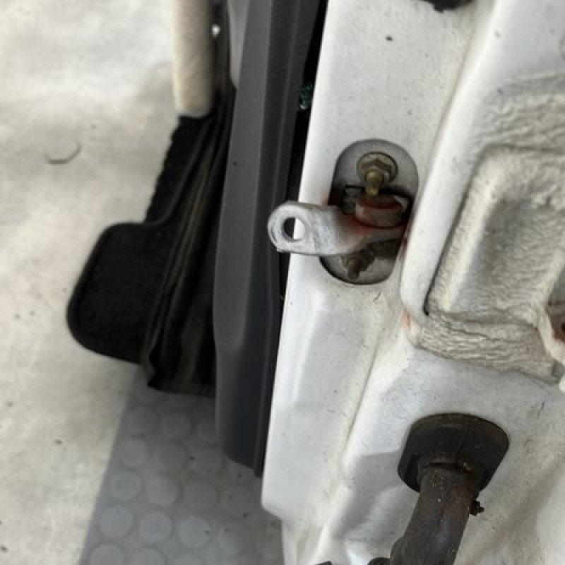 Porte avant gauche RENAULT CLIO 2 Photo n°5