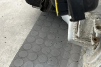 Porte avant gauche RENAULT CLIO 2