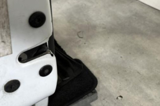 Porte avant gauche RENAULT CLIO 2