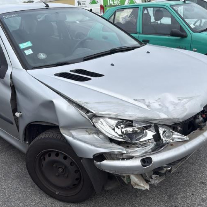 Feu arriere principal gauche (feux) PEUGEOT 206 Photo n°6