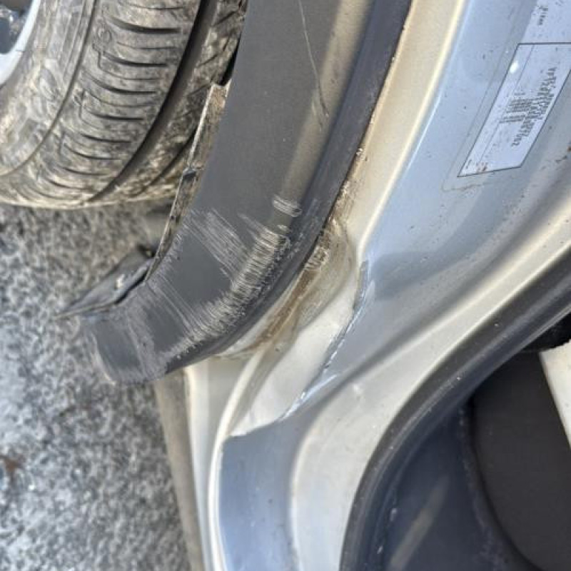 Feu arriere secondaire droit (feux) RENAULT CAPTUR 1 Photo n°12