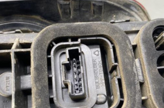 Feu arriere principal gauche (feux) DACIA DUSTER 1