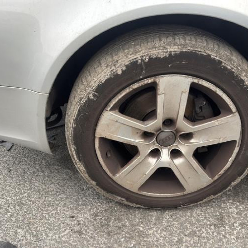 Feu arriere secondaire gauche (feux) AUDI A4 2 Photo n°16