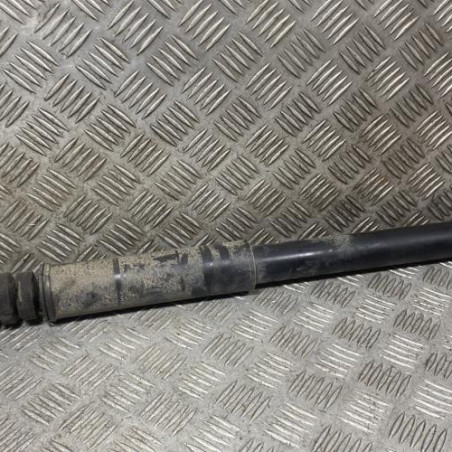 Amortisseur arriere droit DACIA DUSTER 1 Photo n°1