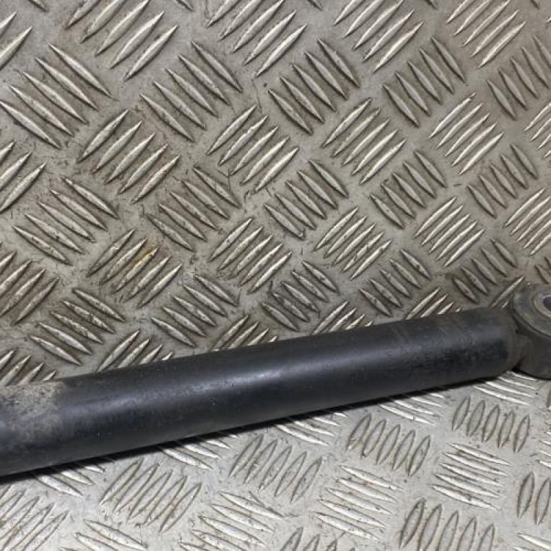 Amortisseur arriere droit DACIA DUSTER 1 Photo n°3