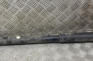 Amortisseur arriere gauche DACIA DUSTER 1 Photo n°1