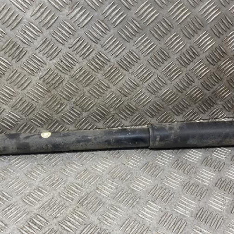 Amortisseur arriere gauche DACIA DUSTER 1 Photo n°1