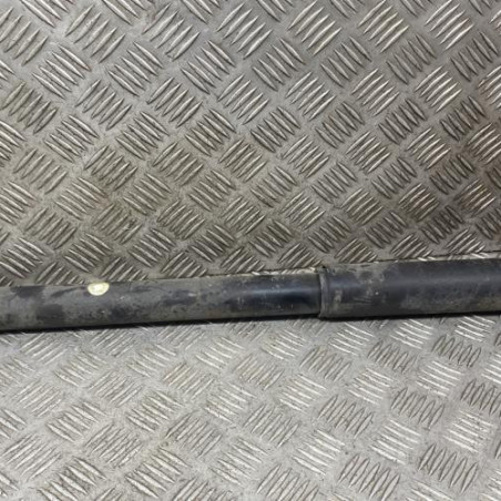 Amortisseur arriere gauche DACIA DUSTER 1 Photo n°1